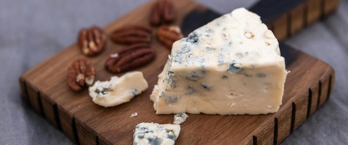 Blue Cheese Bonanza: Uncovering the Bold Flavors of Mold-Ripened Cheese
